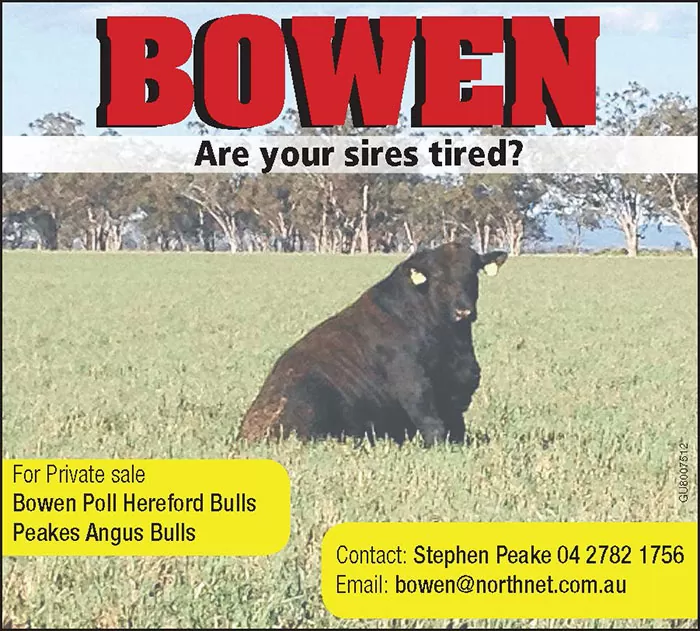 gu8007512-web-bowen
