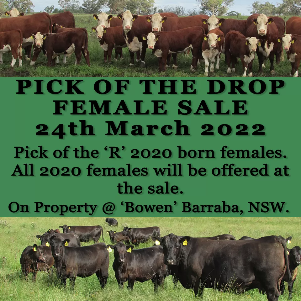 2022 Female Sale