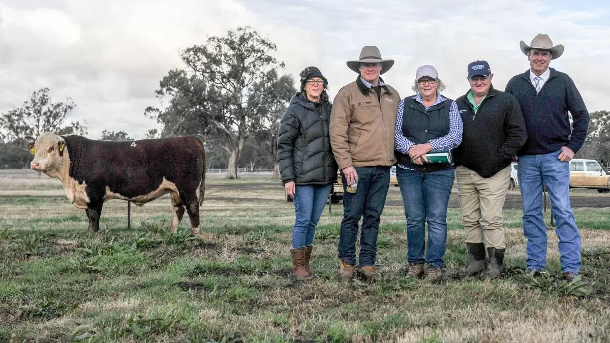 2025 BOWEN Bull Sale