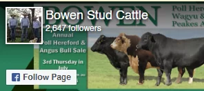 Bowen Stud Cattle